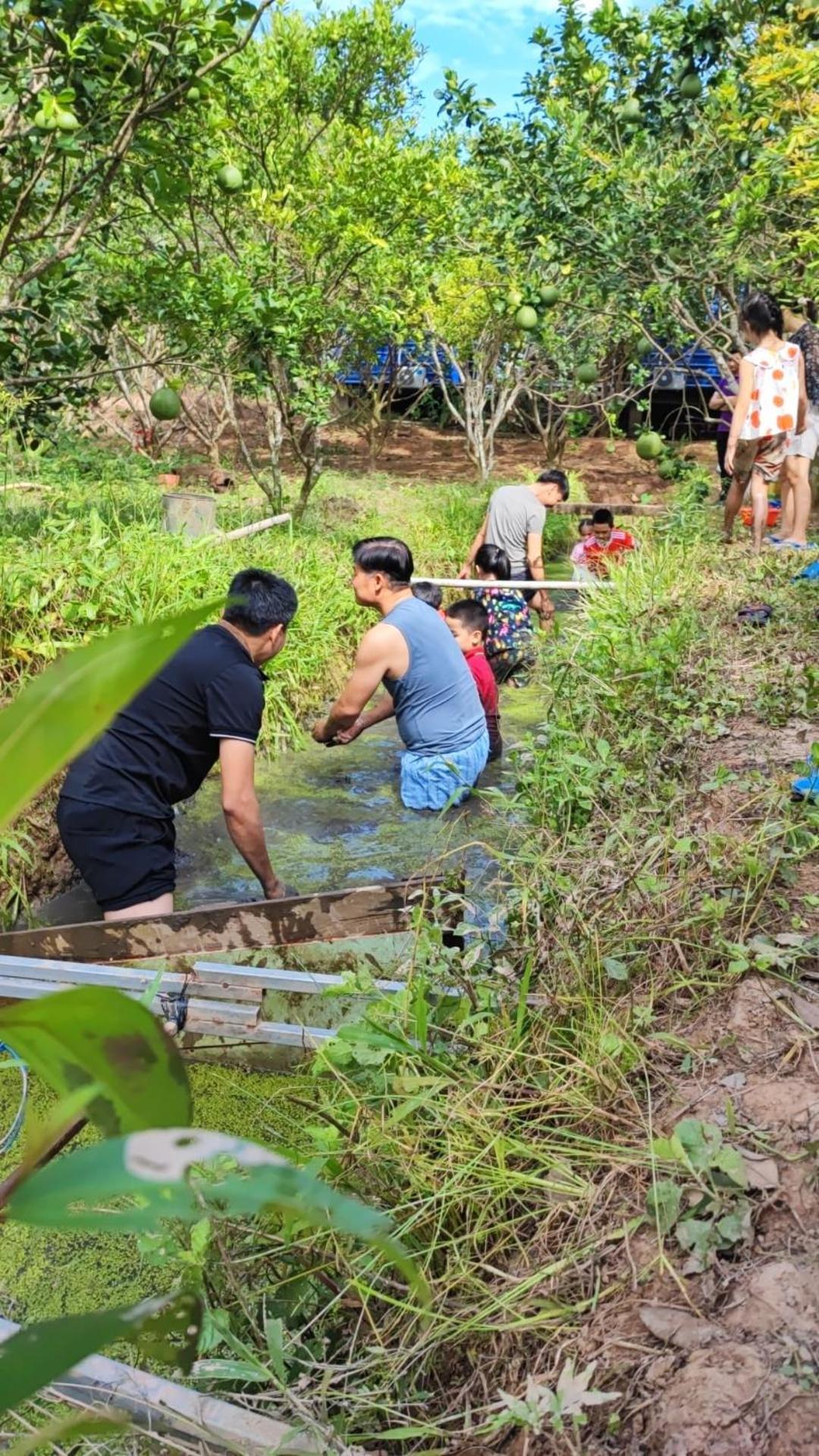 Con Phung Resort Mekong - Nature Escape With Free Boat Shuttle & Fishing ベンチェ エクステリア 写真